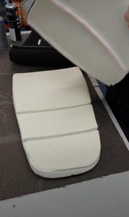 Seat back cushion