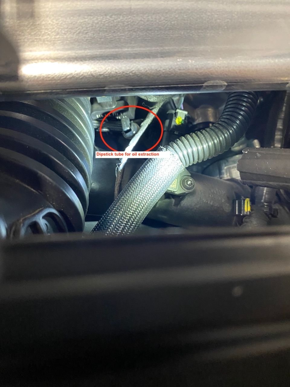 2021 Cayenne S oil change via topside extractor? Rennlist Porsche