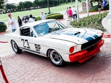 This GT350 has the most wins of an any Shelby ever