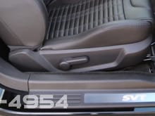2014 GT-500 With Recaro Seats Look Like Same Shield.