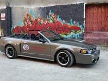 LAMustang.com mascot 2001 Mustang GT/Cobra