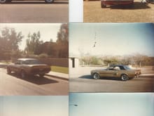 1. In Front of Az. Apartment 2. Local Car Show in Az. 3. Apartment Shot 4. Reststop on way toAz. 5. Parked at School. 6. Rest Stop. That's it For The 68 GT/CS