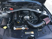 engine bay all cleaned up for cars and coffee