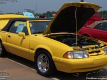 Mustang Photo Archive 1987-1993 Mustangs 1993 Mustang 1993 Limited Editions