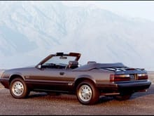Mustang Photo Archive 1979-1986 Mustangs 1986 Mustang 1986 Mustang GT