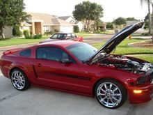 Ron's Mustang 036