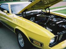 My Mach 1 front