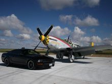 Bullitt with P-51 
&quot;Gunfighter&quot;