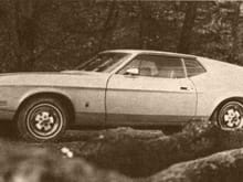 Mustang Photo Archive 1971-1973 Mustangs 1971 Mustang 1971 T-5