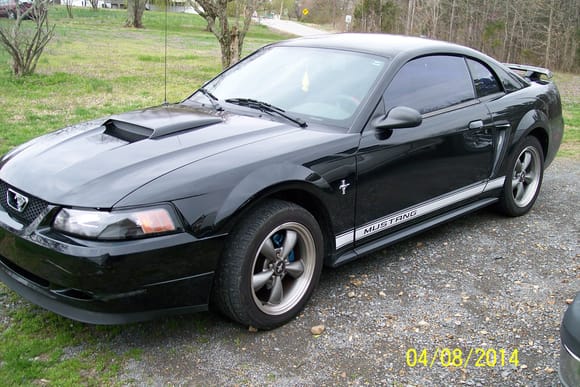 2003 base 5 spd, 3 mustangs ago