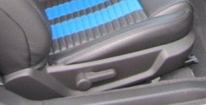 2010 Mustang Seat