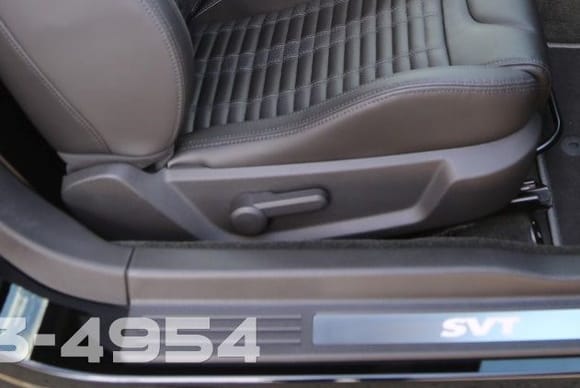 2014 GT-500 With Recaro Seats Look Like Same Shield.