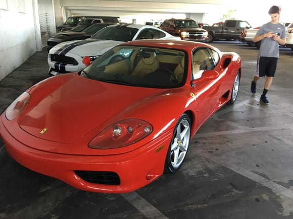 Hey look a Ferrari. Hold up, what's next to it? Nice treat to see both at the same time.