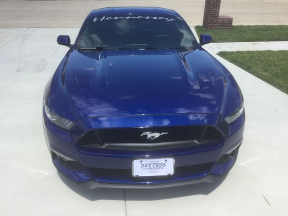 I had paint protection done on my deep impact blue Mustang.