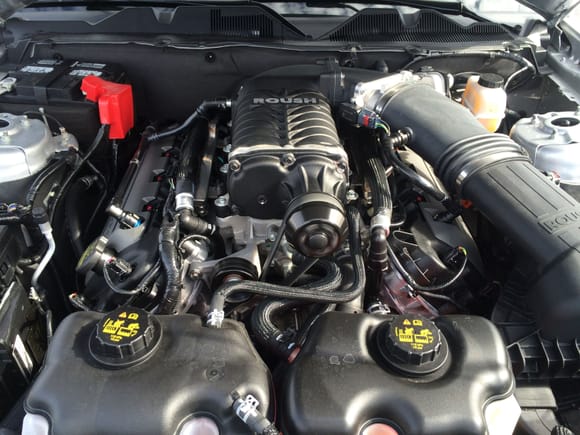 Engine bay of my 2014 Roush Stage 3