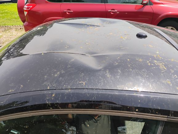 roof damage