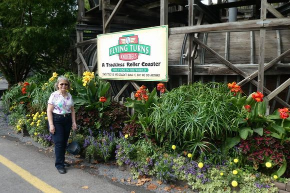 Wife getting ready for this bobsled-like coaster
