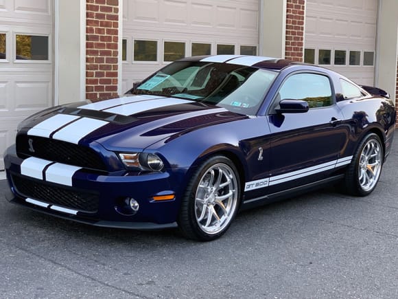 Images Of 2010 Shelby GT500