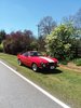 Untitled Album 2019-04-11 20:12:36