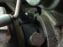 close up of turbo oil lines