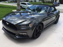 Garage - Mustang