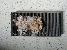 My Post Pictures