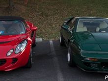 Two Lotus.