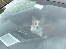 Lily waiting to start her ride down to the Cape.