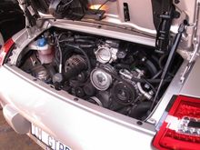 IMG 4559