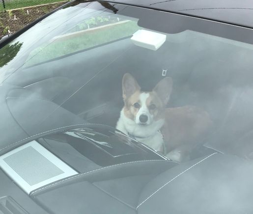 Lily waiting to start her ride down to the Cape.