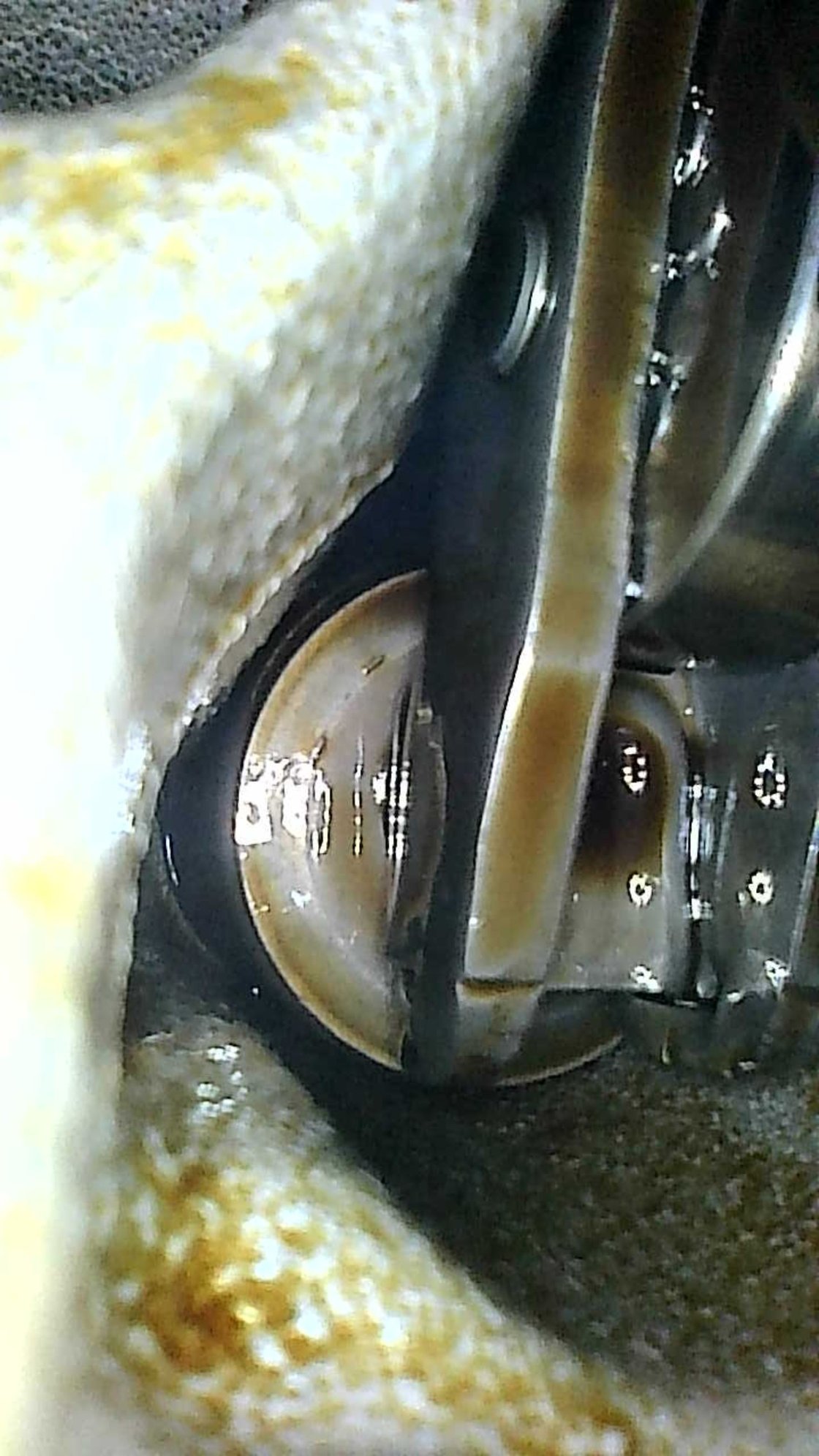 B9 S4 EA839 Series Engine Rocker Arm Failure Page 7 AudiWorld Forums