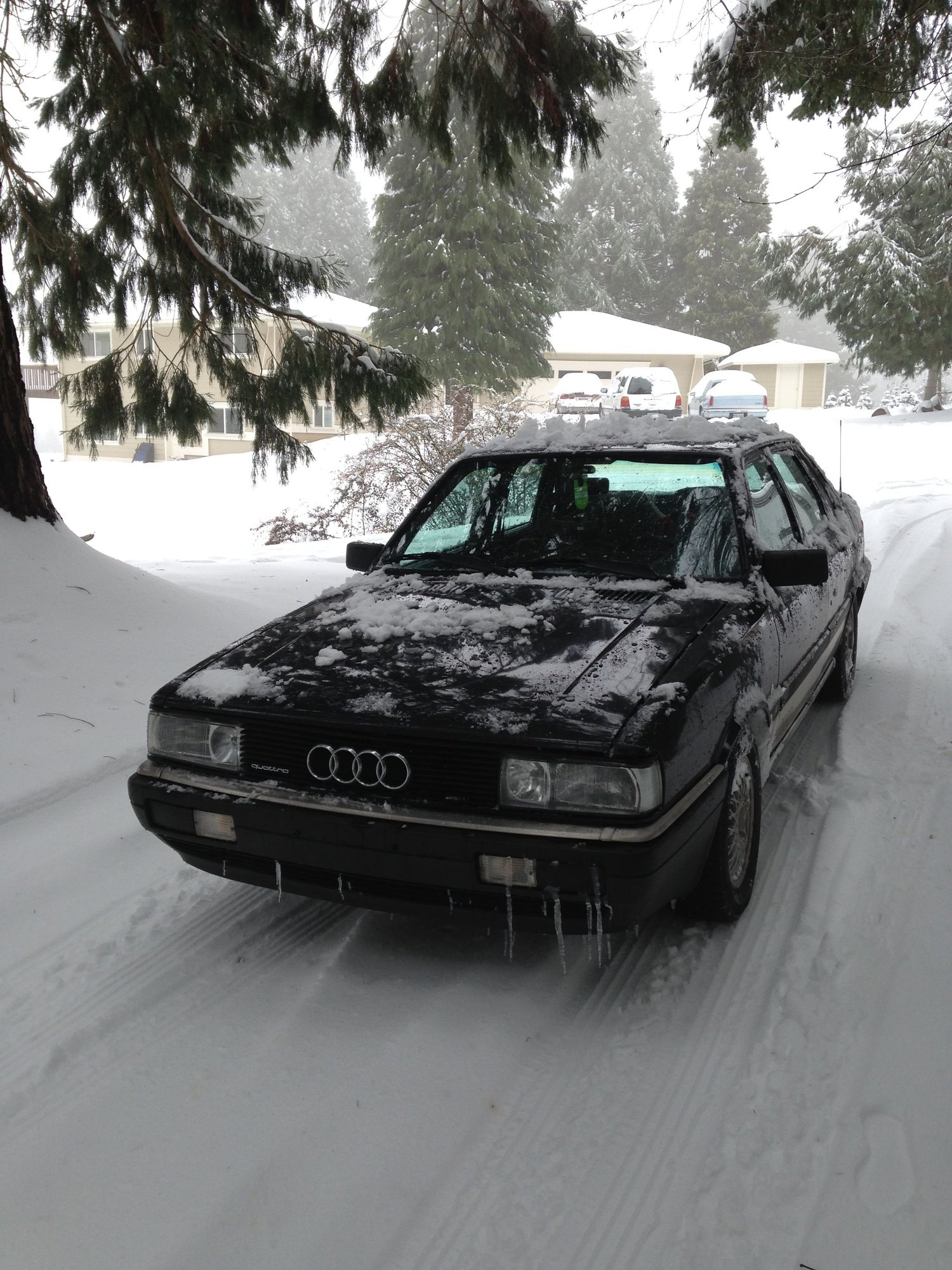 A couple of months ago (back in November actually) I purchased 1987 Audi 4000CS Quattro in Seattle from couple that claimed it was there baby and had always ...