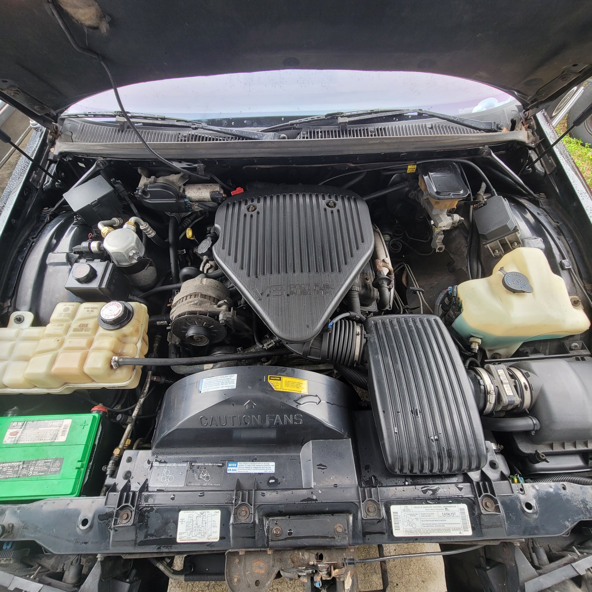 Also looks well kept but looks can be decieving.