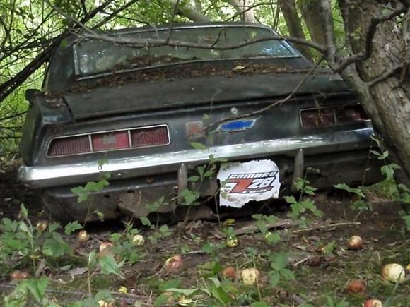69 Camaro licence plate