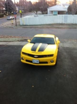 On the Driveway