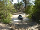 Trailing
