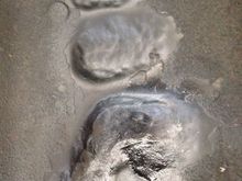 Pistol shaped dent about 1" deep, other 2 about 1/4-1/2".