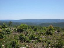 IMG 0060