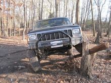 Ox Flex4