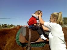 Riding a horse at therapy