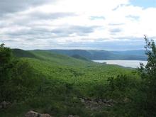 IMG 1759 (Small)