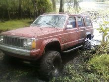 Stuck on the bank of the St. Johns river