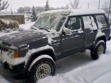 Gerie jeep loves the snow