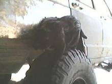 Jager makin sure I have some tread still.