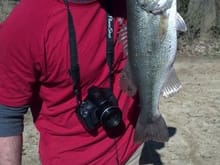 Decent Bass, and my camera in the pic