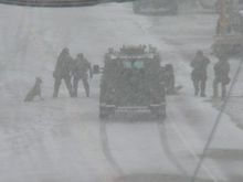 Yeah. That's SWAT arresting a dude after a
7 hour standoff.