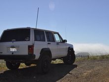 Random, recent pics