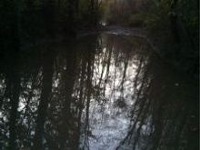 Jonson sandbar aka (Lake Go-Be-Gone) looking were I was going