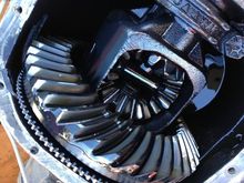 Ford 8.8 Differential