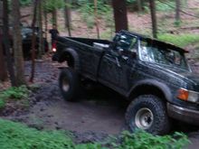 pullin him out